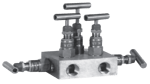 main_IM_Model_510RM_5_Valve_Manifold.png